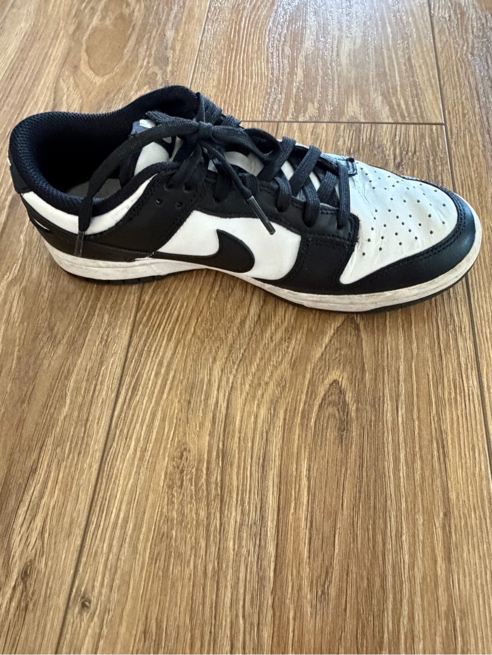 Nike women’s dunk low retro shoes